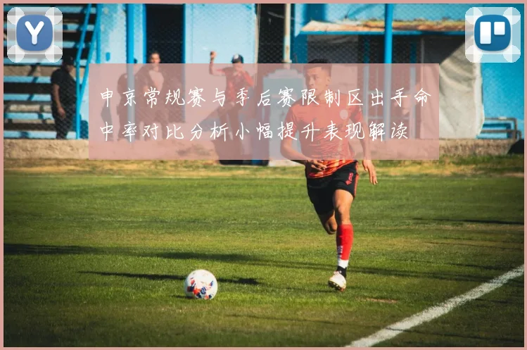 申京常规赛与季后赛限制区出手命中率对比分析小幅提升表现解读